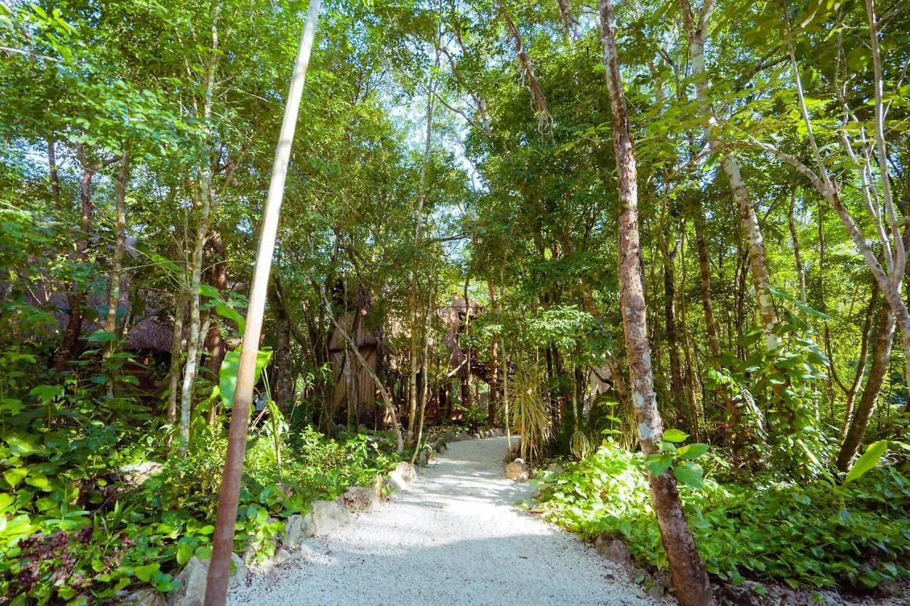 Pensjonat Madre Tierra Eco Habitat Puerto Morelos 0*,  Meksyk