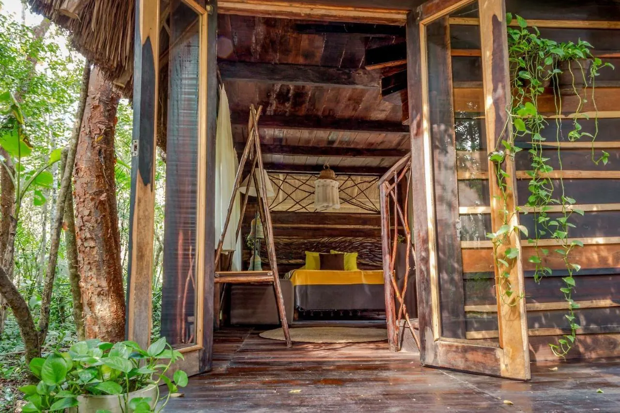 Pensjonat Madre Tierra Eco Habitat Puerto Morelos 0*,  Meksyk