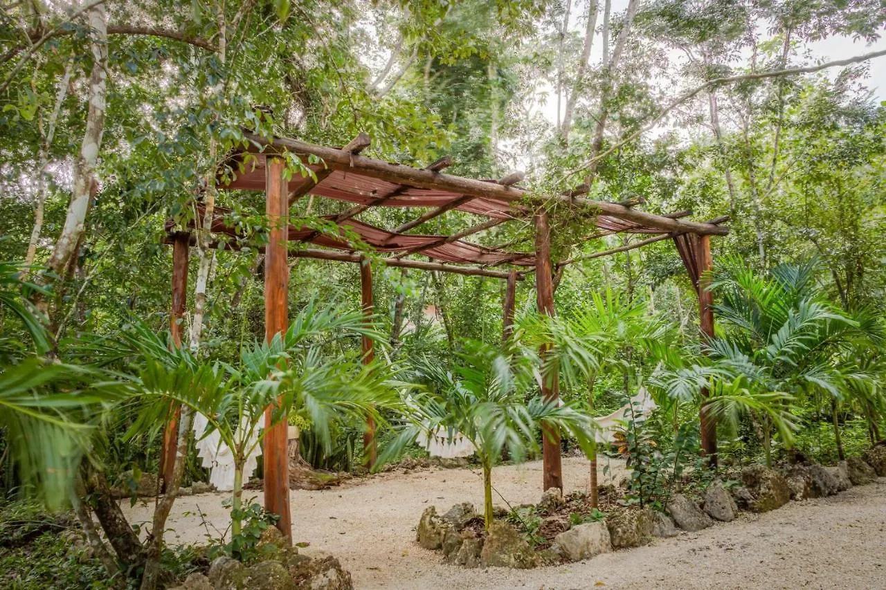Gospodarstwo wiejskie Pensjonat Madre Tierra Eco Habitat Puerto Morelos