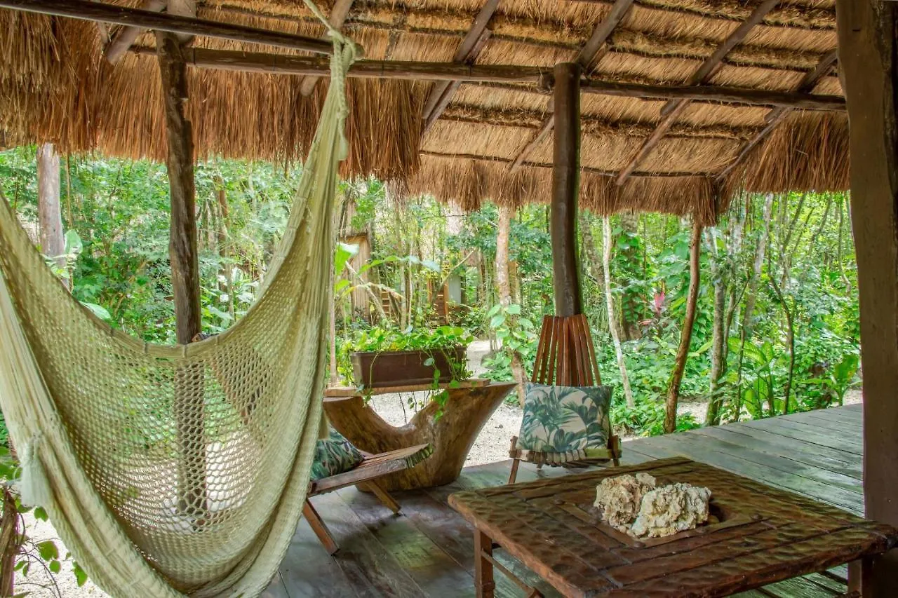 Gospodarstwo wiejskie Pensjonat Madre Tierra Eco Habitat Puerto Morelos