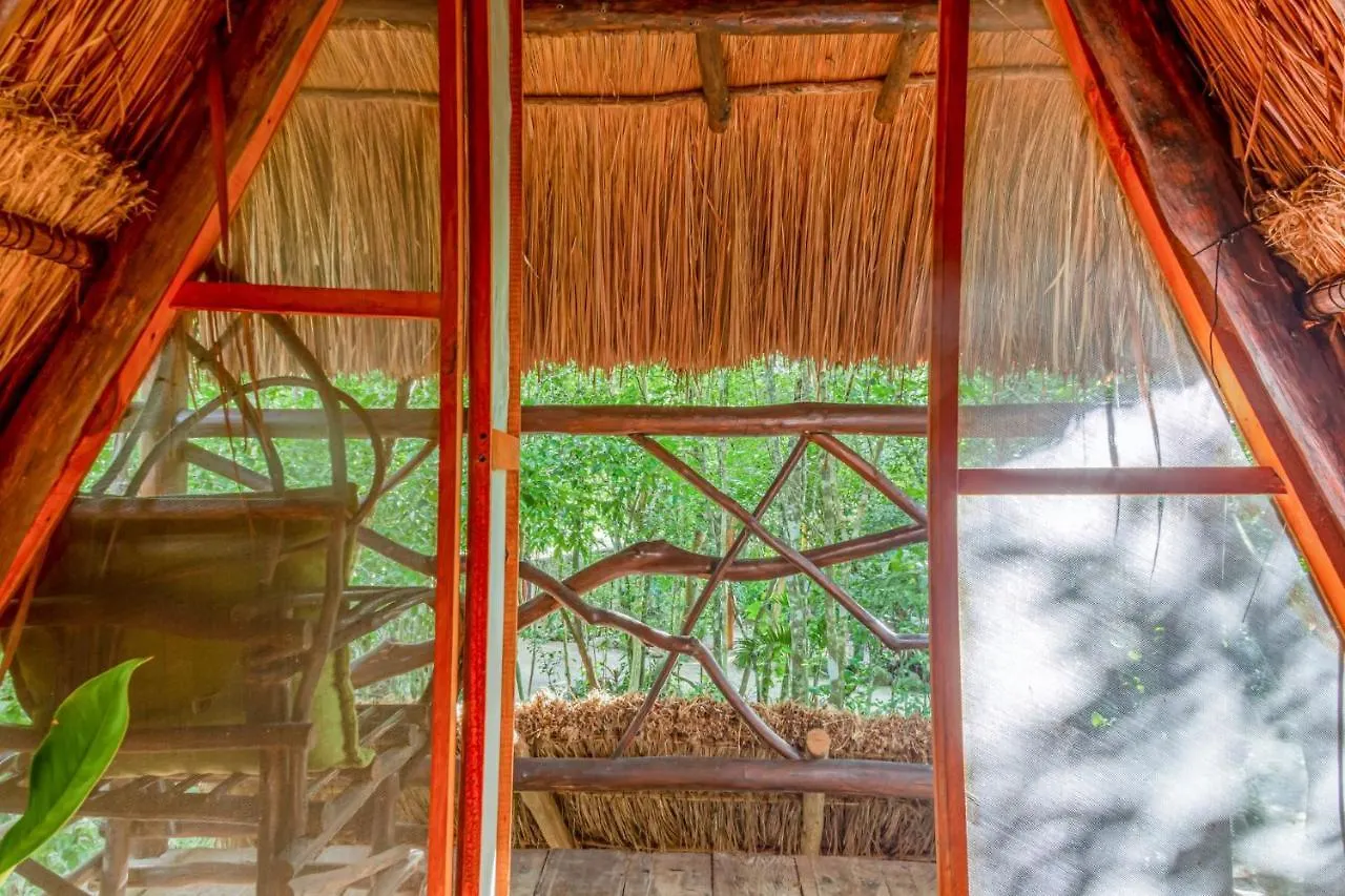 Pensjonat Madre Tierra Eco Habitat Puerto Morelos Meksyk