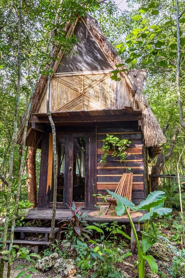 Pensjonat Madre Tierra Eco Habitat Puerto Morelos 0*,  Meksyk
