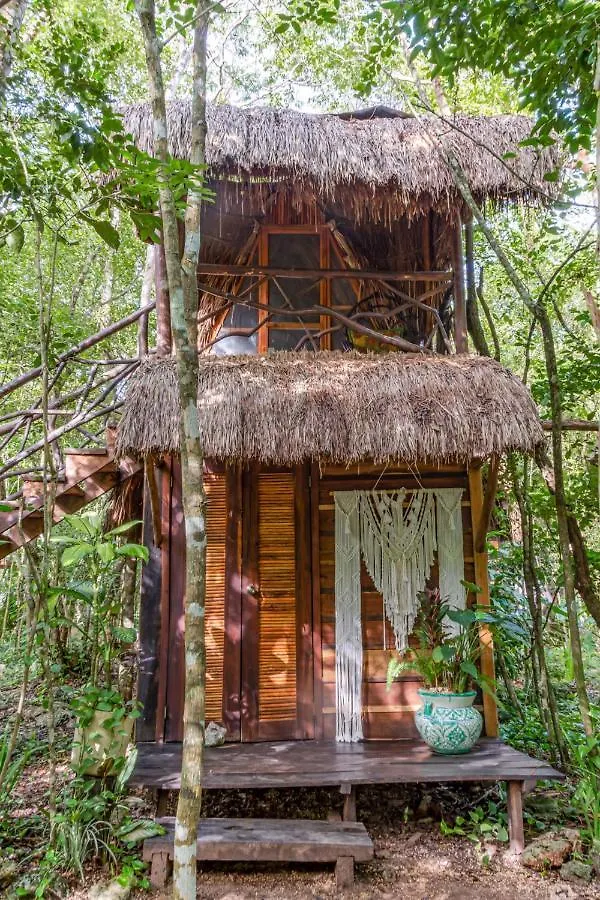 Pensjonat Madre Tierra Eco Habitat Puerto Morelos Gospodarstwo wiejskie