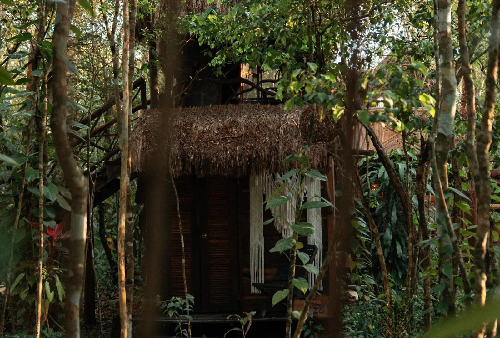 Pensjonat Madre Tierra Eco Habitat Puerto Morelos Meksyk