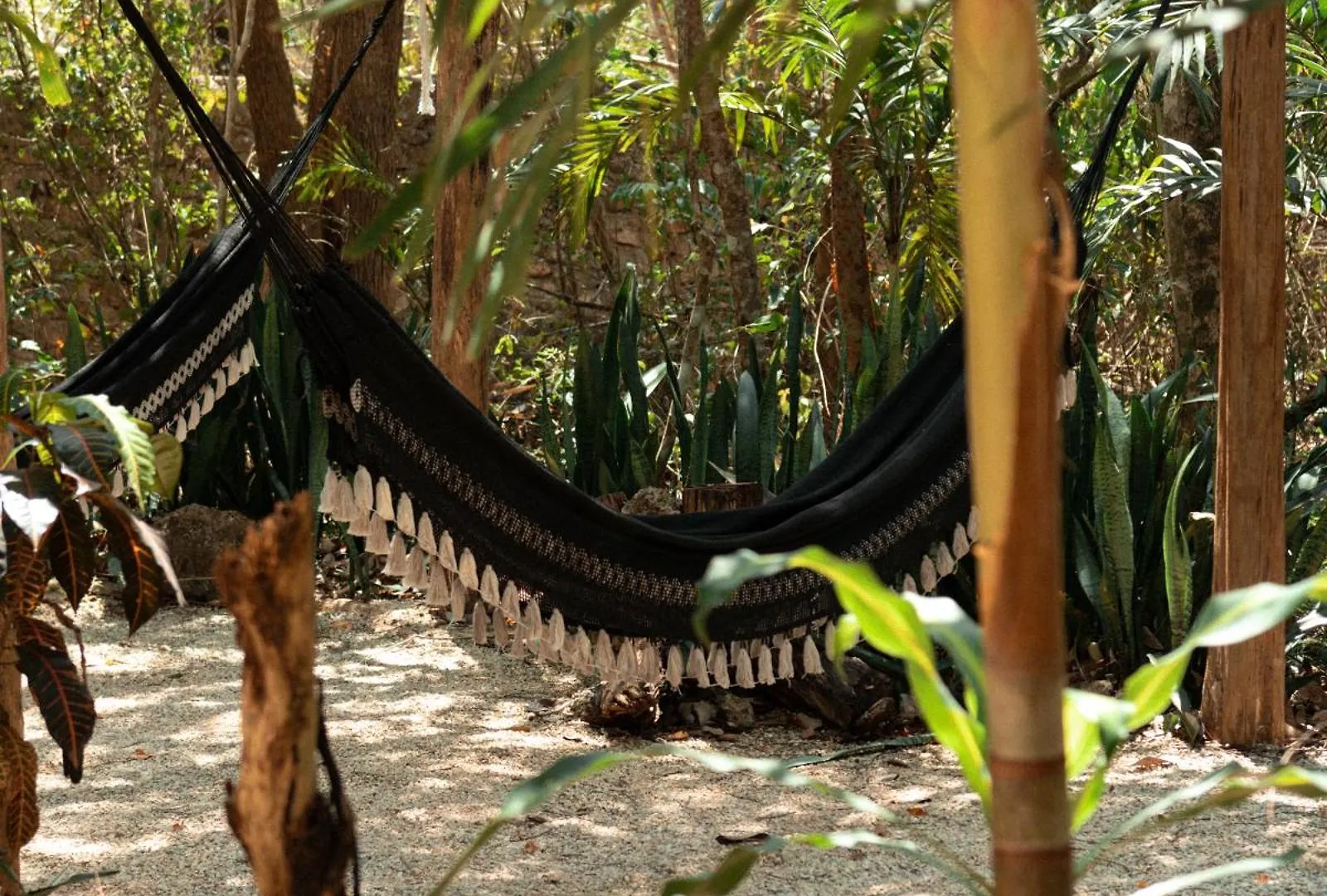 Madre Tierra Eco Habitat ξενώνας Puerto Morelos Εξοχικό σπίτι